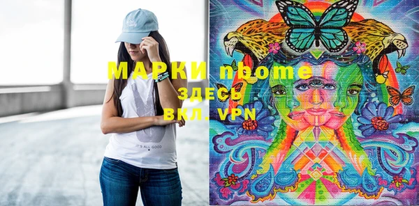 хмурый Арсеньев