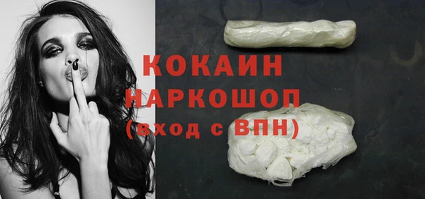 хмурый Арсеньев