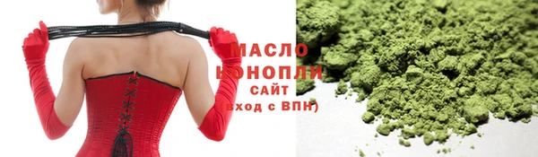 хмурый Арсеньев