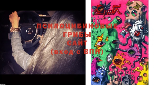 хмурый Арсеньев