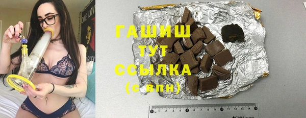 хмурый Арсеньев