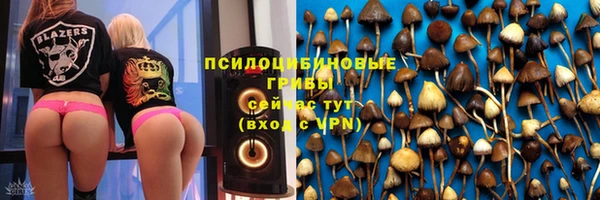 хмурый Арсеньев