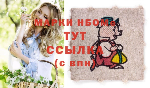 хмурый Арсеньев