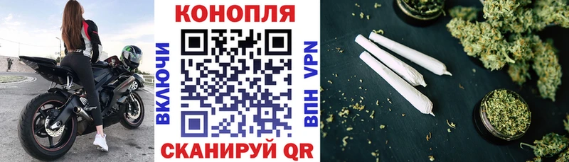 Бошки Шишки планчик  Сольцы 